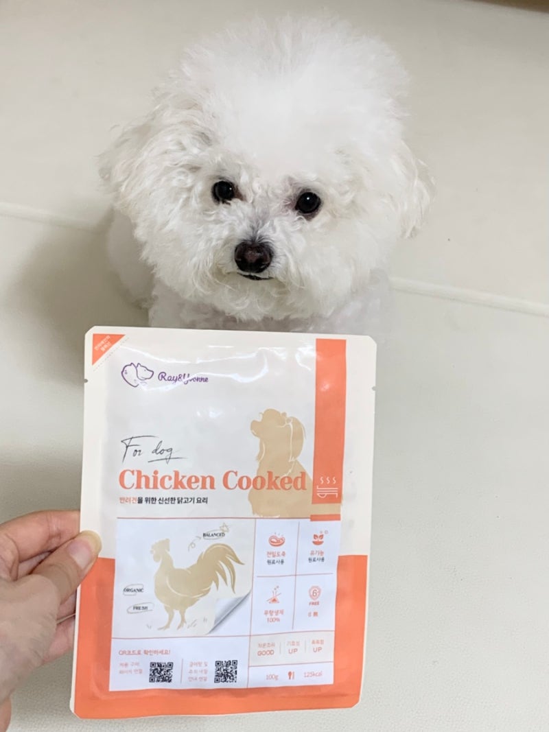 강아지 화식 추천 레이앤이본 자연식 닭고기 습식사료