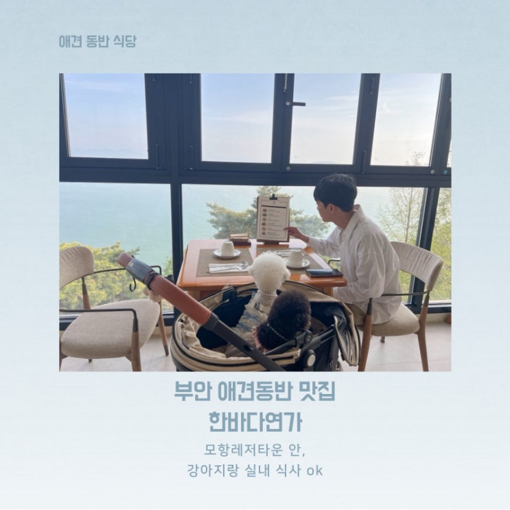  부안 애견동반 식당 오션뷰가 멋진 한바다연가