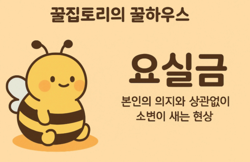 요실금 원인 증상 진단 검사 치료 쉽고 자세히 총정리