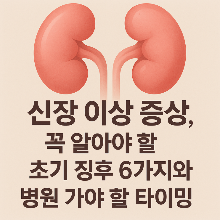  신장 이상 증상, 꼭 알아야 할 초기 징후 6가지와 병원 가야 할 타이밍