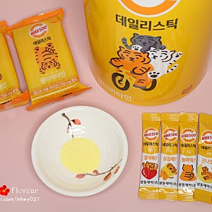 비타민분말 추천 광동 비타500 데일리스틱 간편한 한포