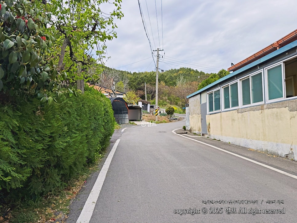 장정산 사진 4