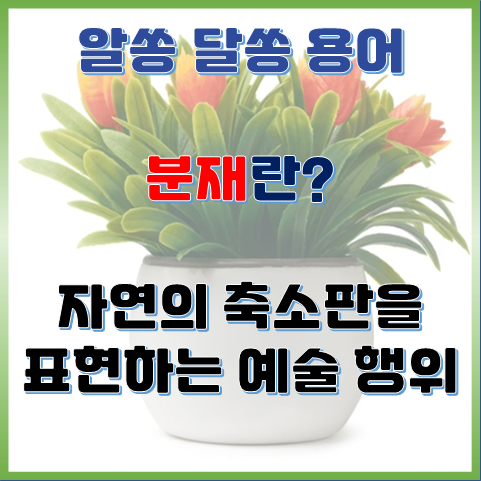 분재가 뭘까? 자연의 축소판을 표현하는 예술행위 분재가 뭘까? 자연의 축소판을 표현하는 예술행위