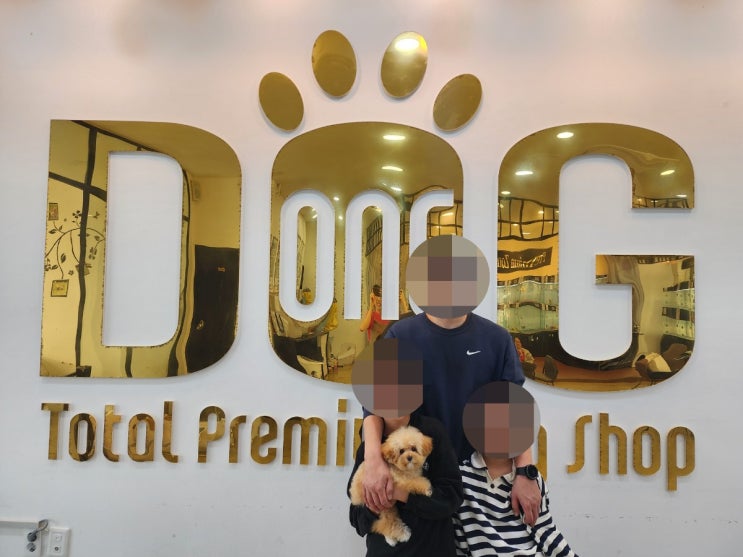  세종 강아지분양 후기 , 자녀들에게 특별한 선물이 될 토이크림푸들 공주님 가족 맞이하기