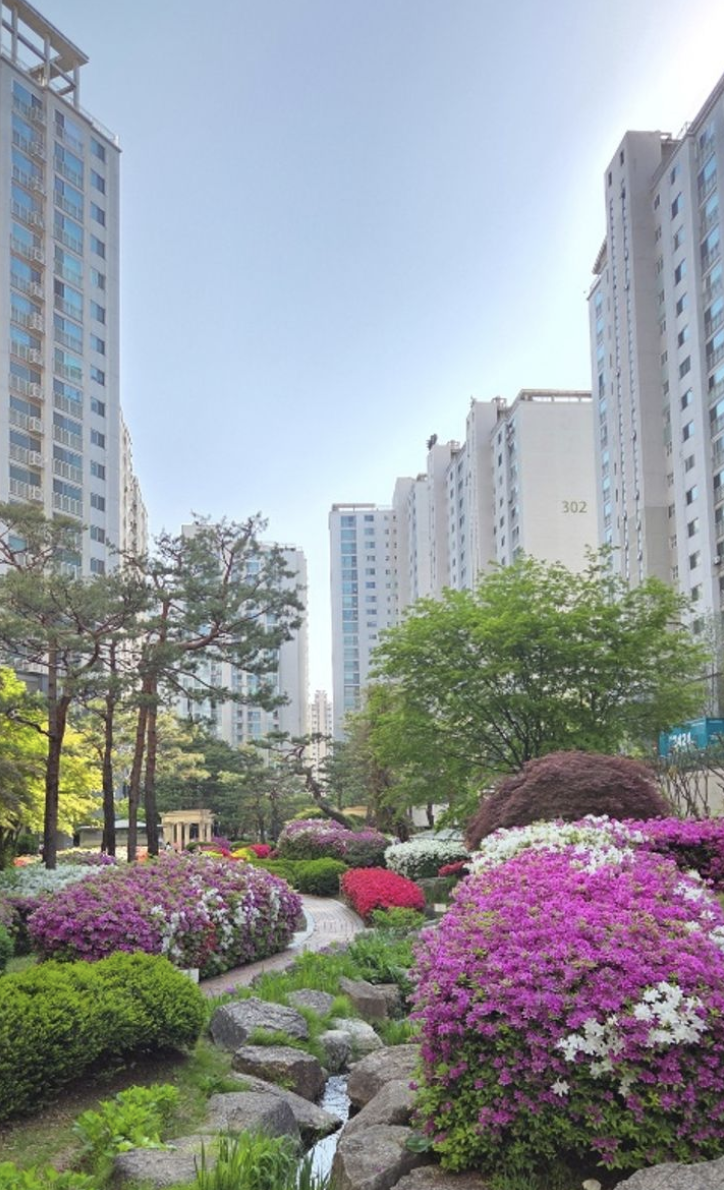  도곡렉슬 35.2억, 트리지움, 삼성 힐스테이트 매수 폭주