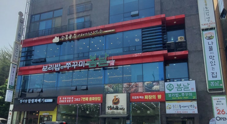  봄날(보리밥과쭈꾸미)_수통골에서 발견한 찐 맛집(내돈내먹)