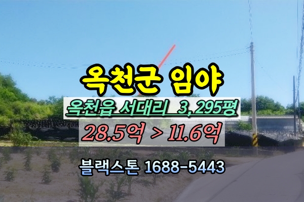  옥천군토지 경매 3천평 개발부지 옥천읍 서대리 임야 10억 [2024타경10688]