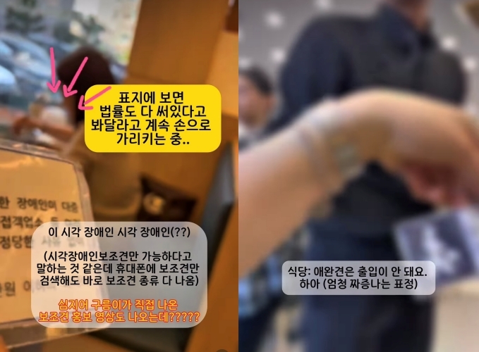 "청각장애인 보조견이 어딨냐" 식당과 경찰에 문전박대 당해 "청각장애인 보조견이 어딨냐" 식당과 경찰에 문전박대 당해