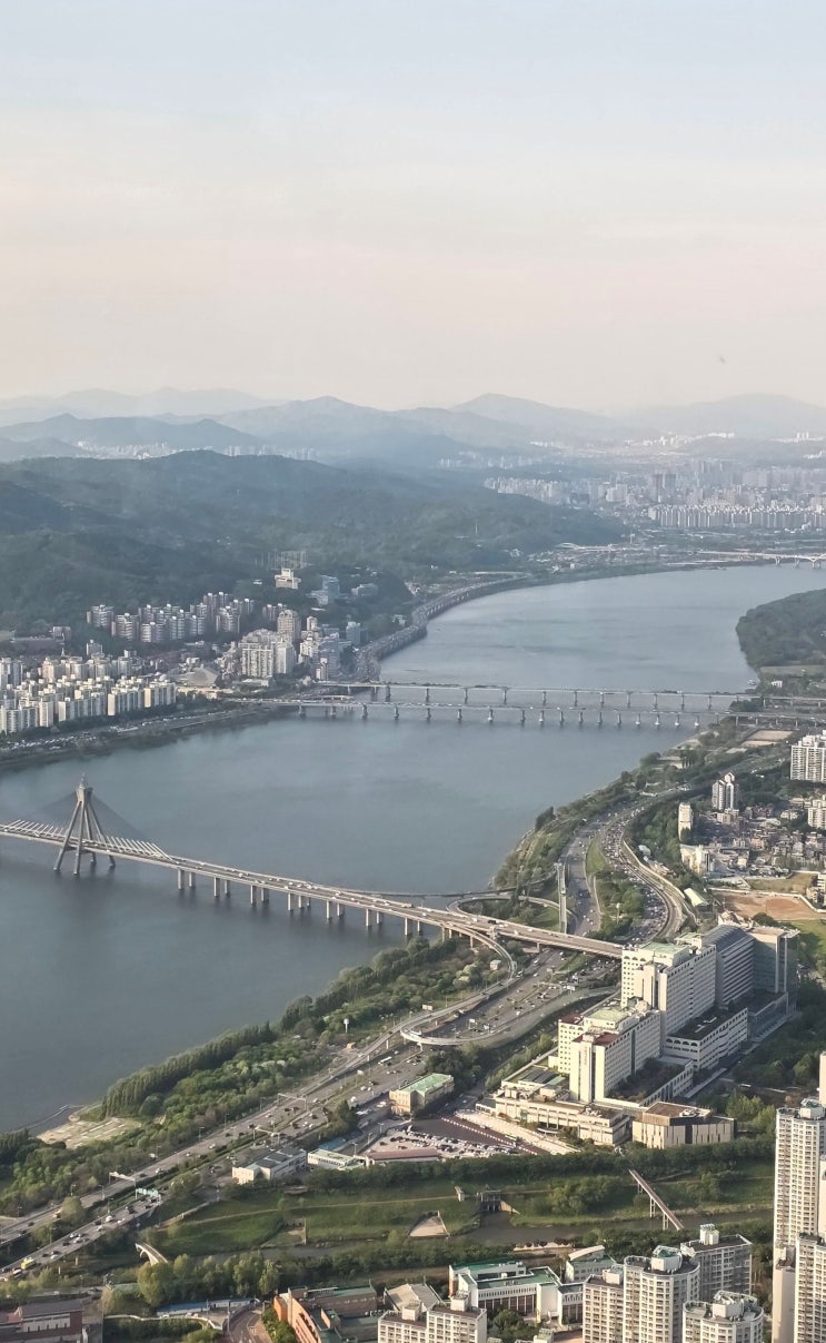  롯데월드 아쿠아리움 & 서울스카이 어린이날맞이 조카와 데이트 후기~