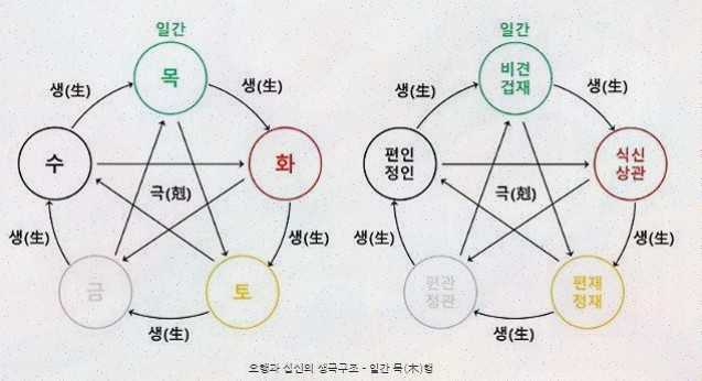  3040 여성을 위한 현실적인 조언, 당신의 사주운세로 삶을 바꿔보세요!