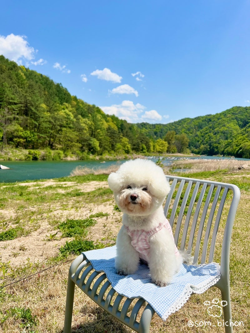 써라운드 슬로우