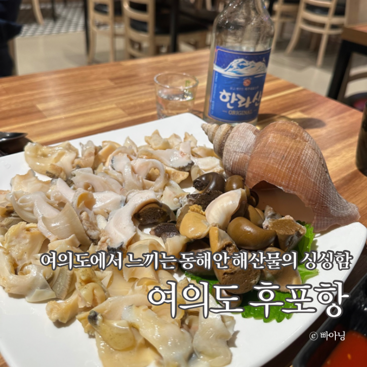  동해안 산지식송 여의도 해산물 맛집 후포항