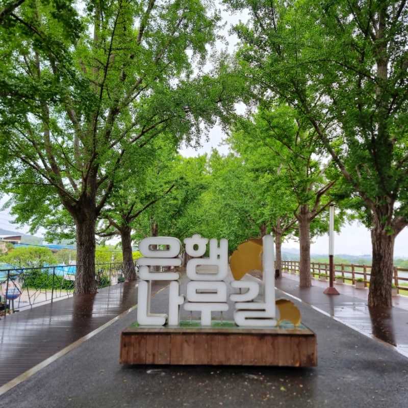 사진 5