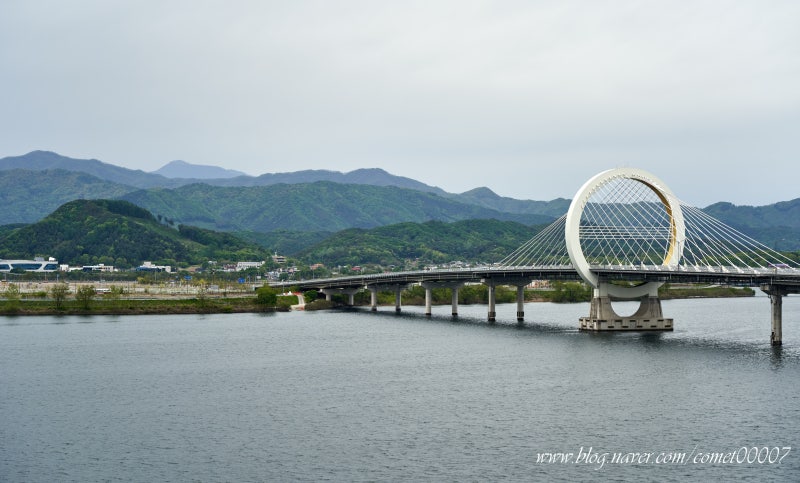 사진 8