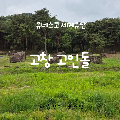  세계유산도시 고창 고인돌 고창 당일치기 여행 코스