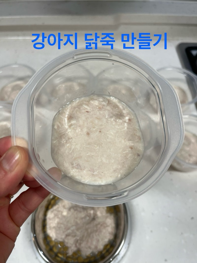 [강아지 닭죽 만들기] [강아지 닭곰탕 만들기] 내가 만든 강아지 닭죽_강아지 보양식 만들기_....