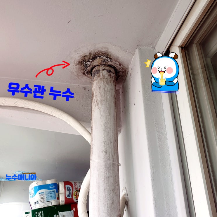  우수관 천장 누수 아파트 베란다우수관누수 원인 해결 방법