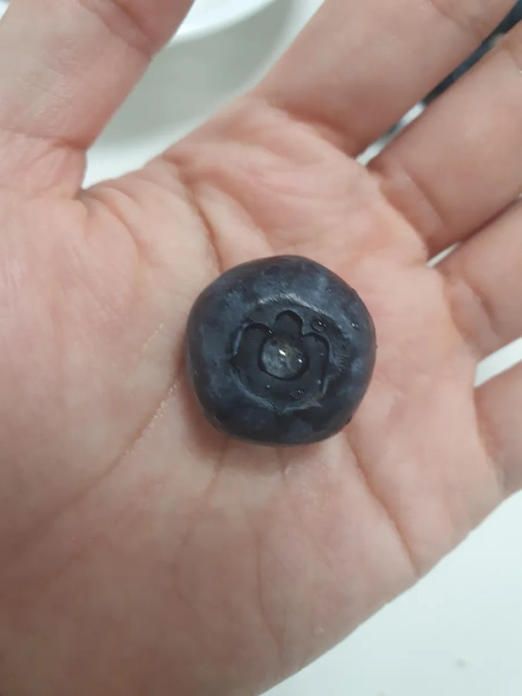  주말일기 | 할머니댁 인사, 능이랑 오리고기