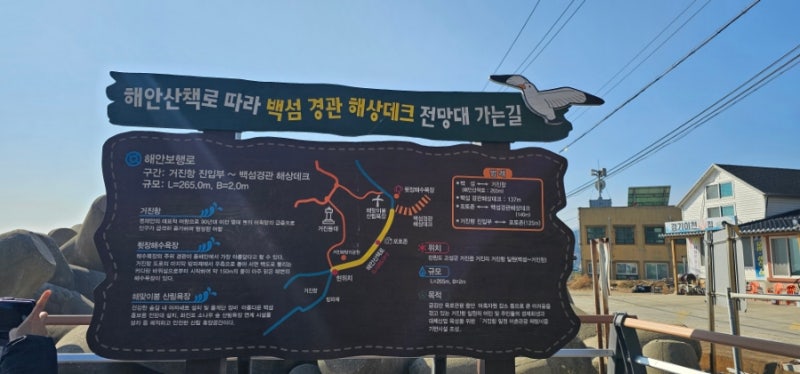 사진 3