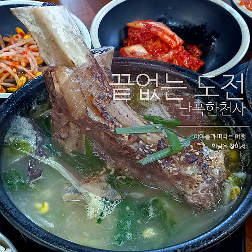 제주공항 근처 아침식사 맛집 추천! 제주세호해장국 연동