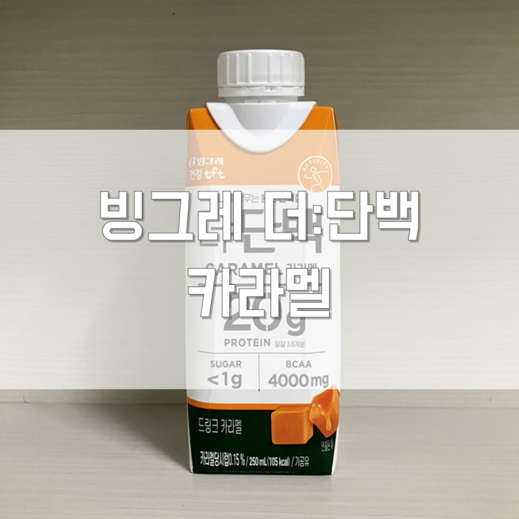  [내돈내산] 빙그레 더단백 카라멜