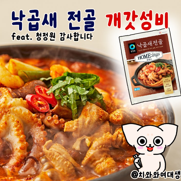  낙곱새 밀키트 추천 청정원 전골 내돈내산 쿠팡