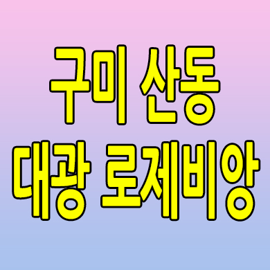  구미 산동 대광로제비앙 민간임대아파트 5공단 10년전세 임대가 모델하우스 분양조건