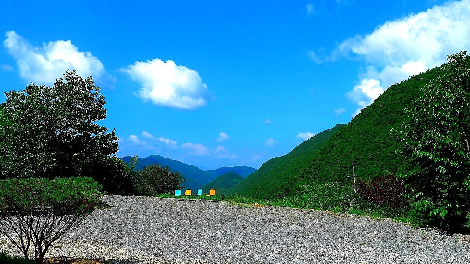 몽벨리펜션 사진 5