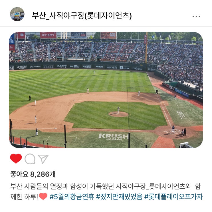   부산 롯데 자이언츠의 열정️, 홈 사직야구장️ 매력과 열기