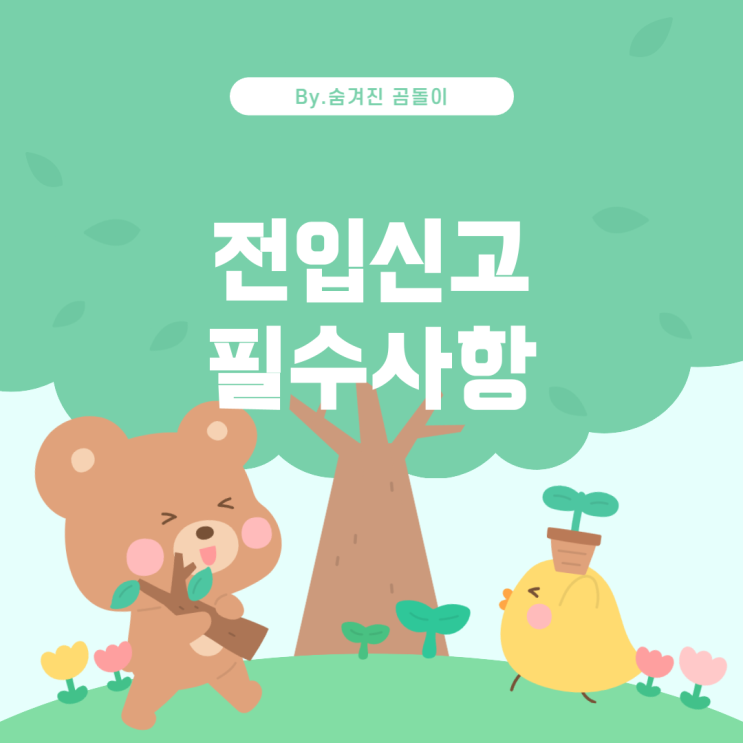  부동산 매매와 전입신고: 실거주 기준과 주의사항