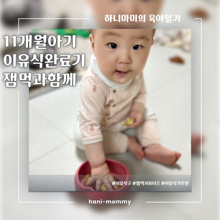 11개월 아기 이유식 완료기 시작부터 앞으로도 잼먹과 함께 11개월 아기 이유식 완료기 시작부터 앞으로도 잼먹과 함께