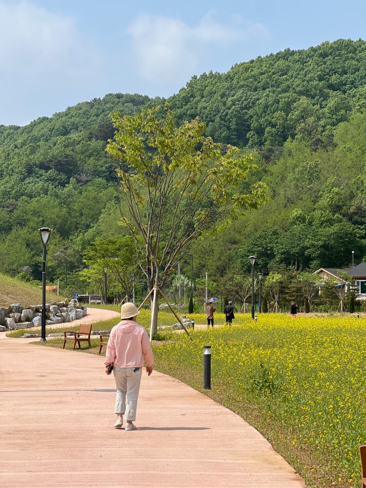  안성 금광호수 나들이 박두진둘레길, 주말 데이트, 핫플, 하늘전망대,