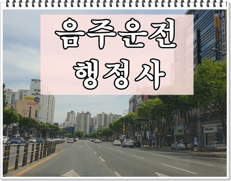  포항 행정사 음주운전 생계형 면허취소 대응책은