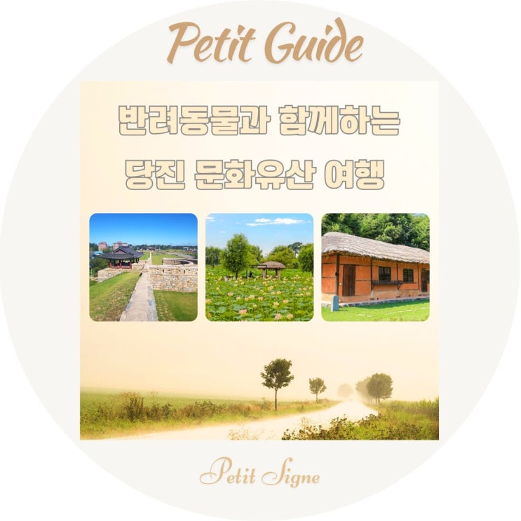  애견동반 여행지 추천｜당진, 반려동물과 함께 걷는 옛 시간과 문화