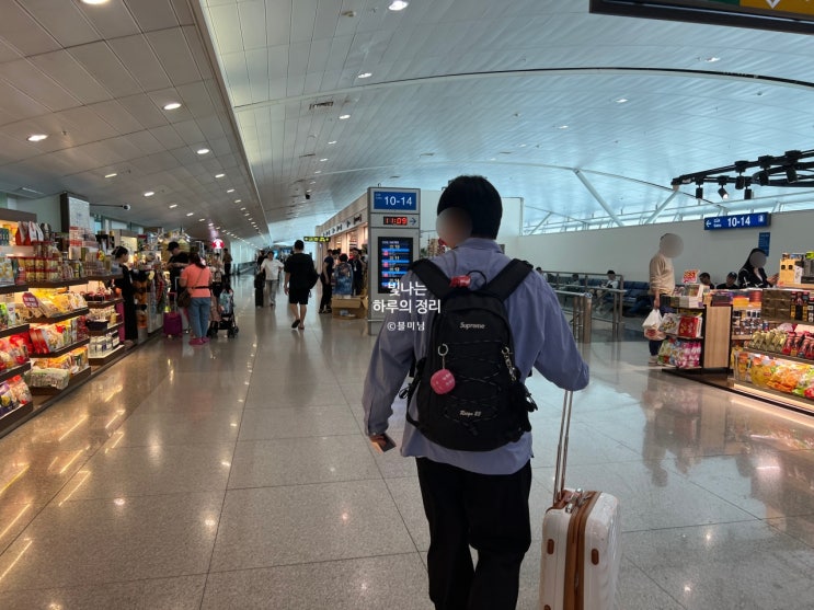 베트남 떤선녓공항에서 백팩으로 파인애플통쳐서 급 기념품구매
