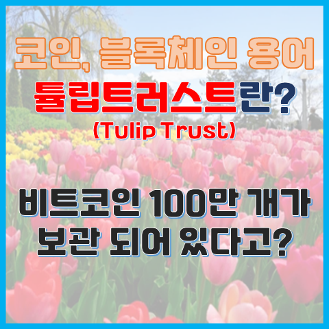 비트코인 100만 개가 보관된 지갑? 튤립 트러스트란? 비트코인 100만 개가 보관된 지갑? 튤립 트러스트란?