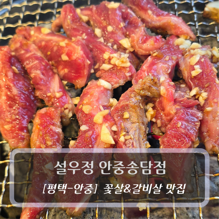  평택 안중맛집 :: 설우정 안중송담점 - 꽃살 양념갈비살 후기