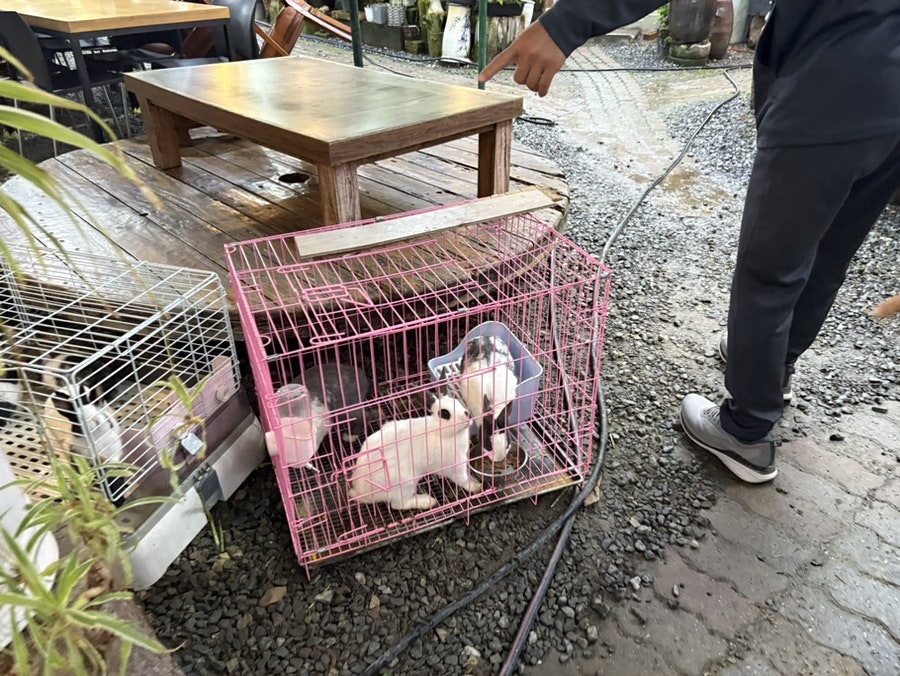 백고을농장 사진 6