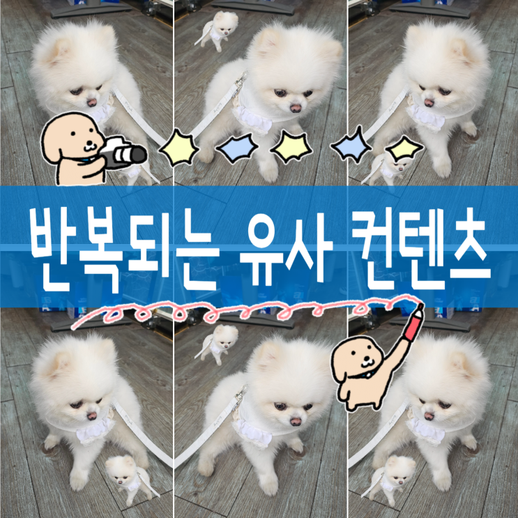  열심히 했지만 저품질...? 블로그 진단 도구 & 지수 회복 방법 총정리 (블덱스·블연·블독 플래너)
