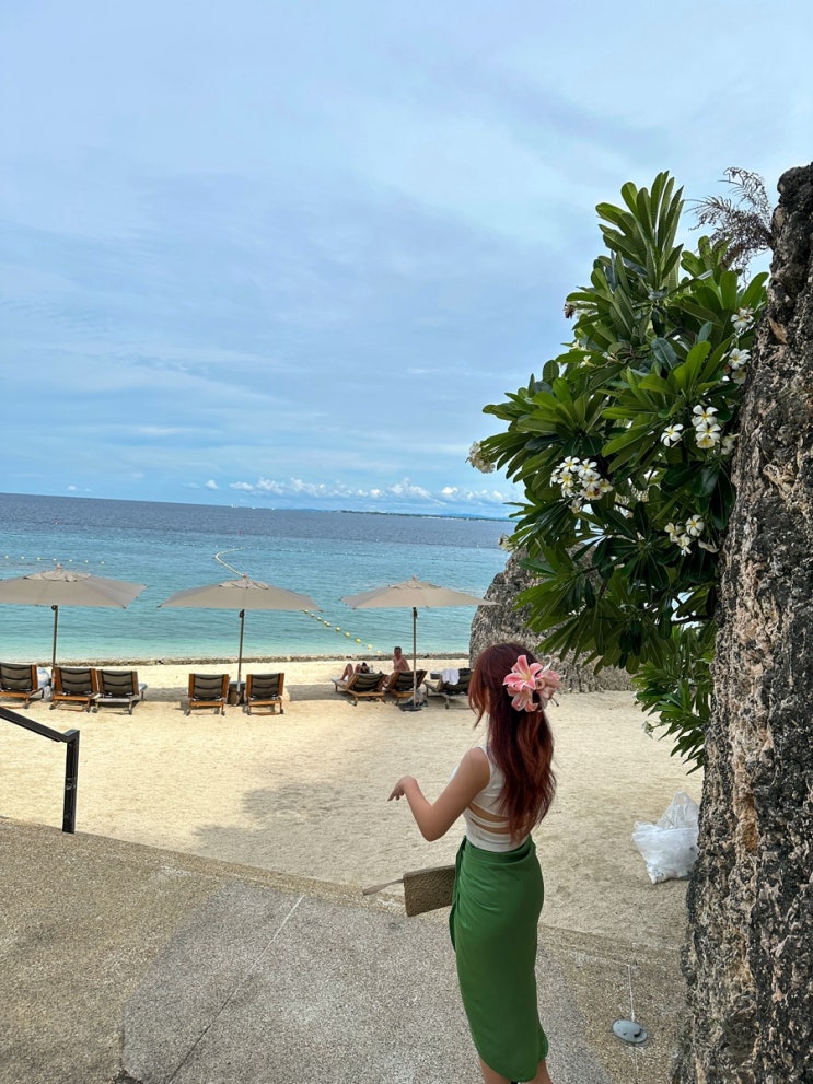  [세부 리조트] Sheraton 쉐라톤 세부 수영장 & 비치