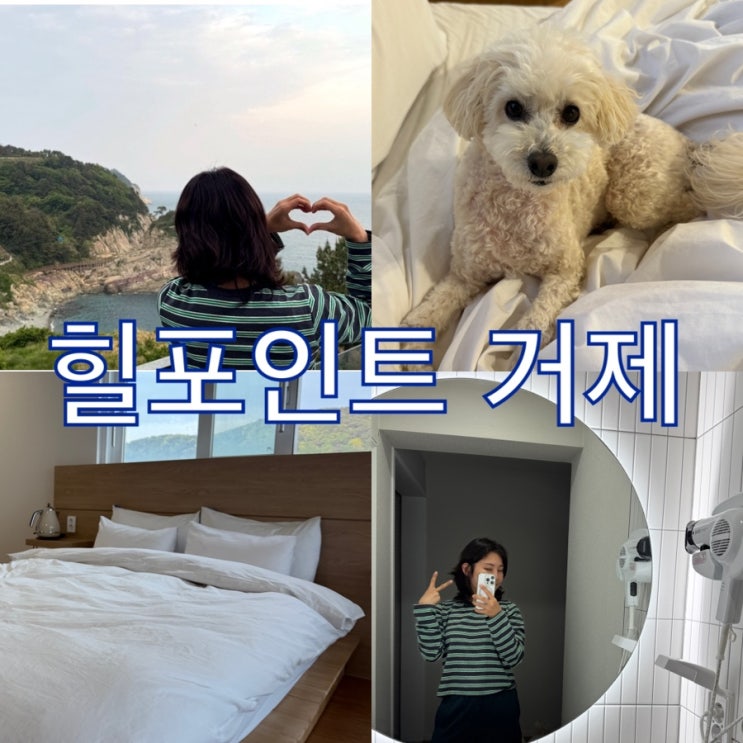  거제 애견동반 펜션 힐포인트 거제 바람의 언덕 숙소 놀고 왔어요