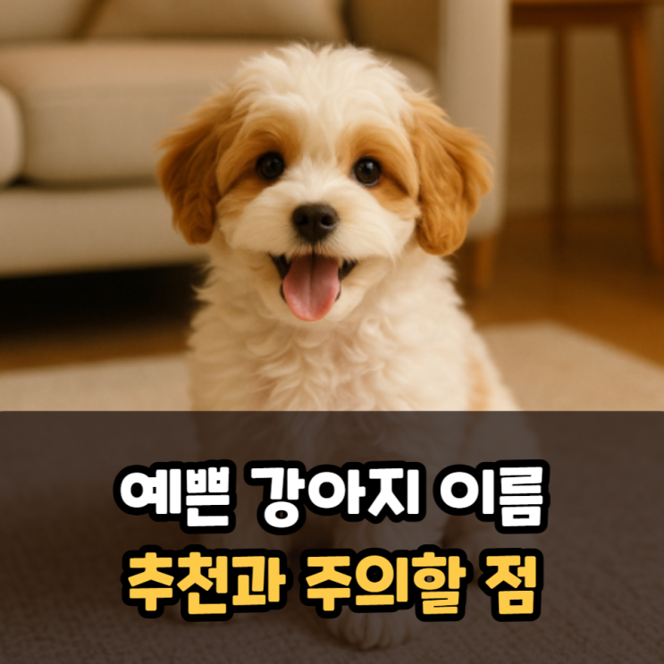  예쁜 강아지 이름 추천과 주의할 점