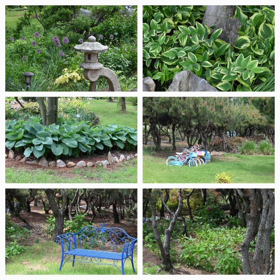 황산들꽃정원 사진 2