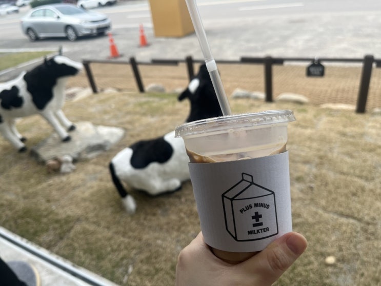  [강원/춘천] 밀크티 카페추천 플러스마이너스 밀크티?! 귀여운 외관