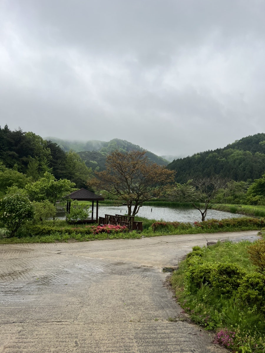 예락원펜션 사진 4