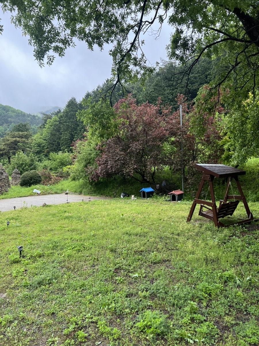 예락원펜션 사진 2