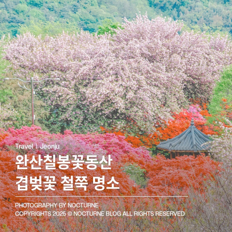  전주 가볼만한 곳 : 완산칠봉꽃동산 겹벚꽃 철쭉 마을 산책