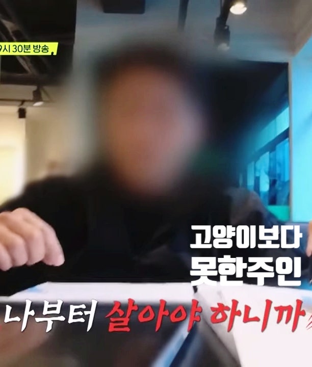 630만 원 호텔비 미납 고양이 주인 왜 잠적했지 안락사 탐정들의 영업비밀 630만 원 호텔비 미납 고양이 주인 왜 잠적했지 안락사 탐정들의 영업비밀