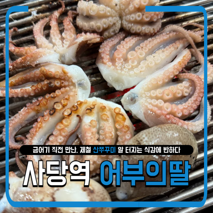   사당역 어부의딸 내돈내산 후기｜제철 산쭈꾸미, 알 터지는 식감에 반하다