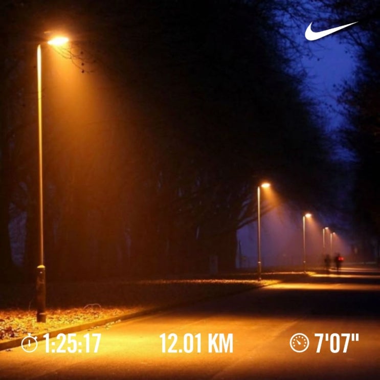 매일 10km 러닝 챌린지 1371일 차